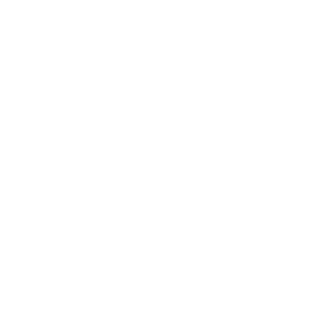 client-logo-vican